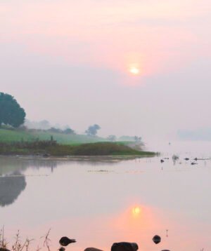 Mist over the Meadow